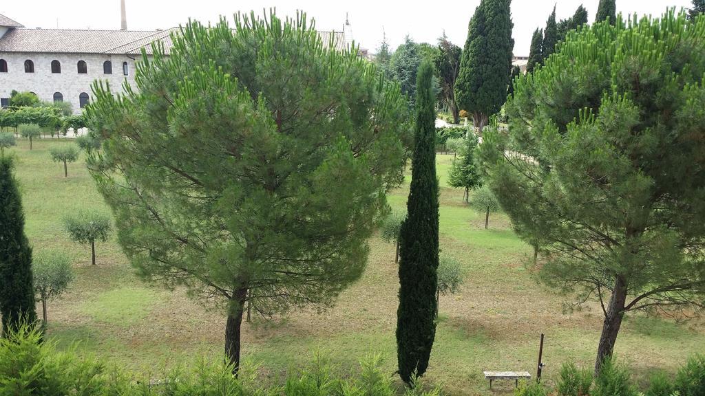 Appartamenti Francesco In Assisi Pokoj fotografie
